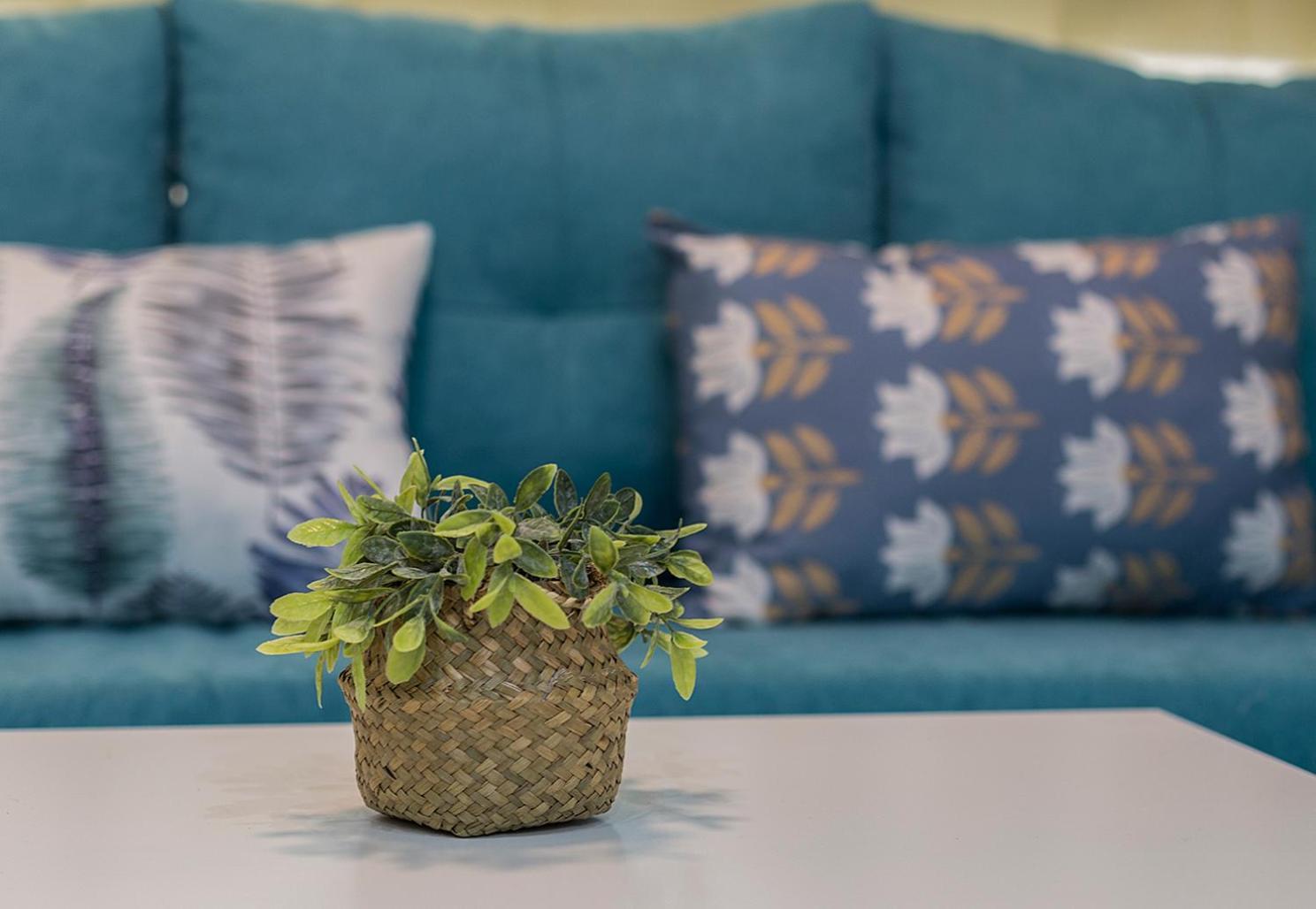 Estudio Moderno Playa Victoria 카디스 외부 사진